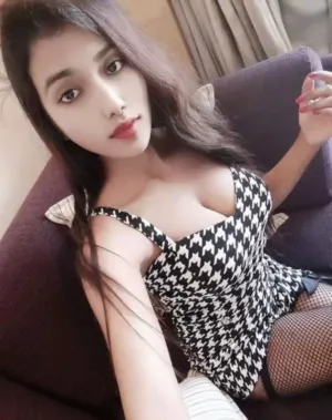 South West Delhi Indipendent Call Girls Escorts